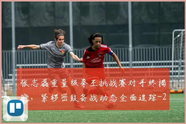 张志磊重量级拳王挑战赛对手终揭晓,紧锣密鼓备战动态全面追踪