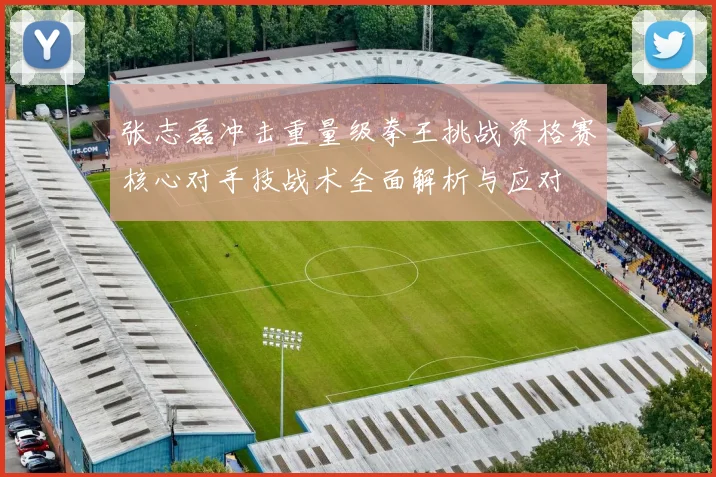 张志磊冲击重量级拳王挑战资格赛核心对手技战术全面解析与应对