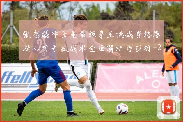 张志磊冲击重量级拳王挑战资格赛核心对手技战术全面解析与应对