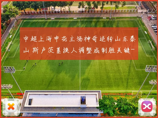 中超上海申花主场神奇逆转山东泰山 斯卢茨基换人调整成制胜关键