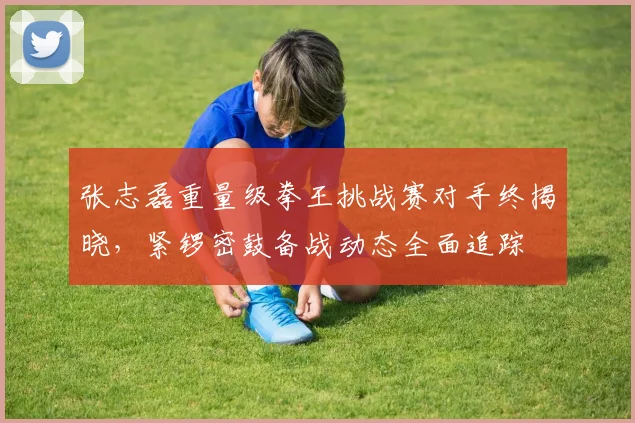 张志磊重量级拳王挑战赛对手终揭晓，紧锣密鼓备战动态全面追踪